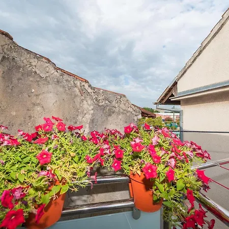 Ferienwohnung Lavi Zadar Exterior foto